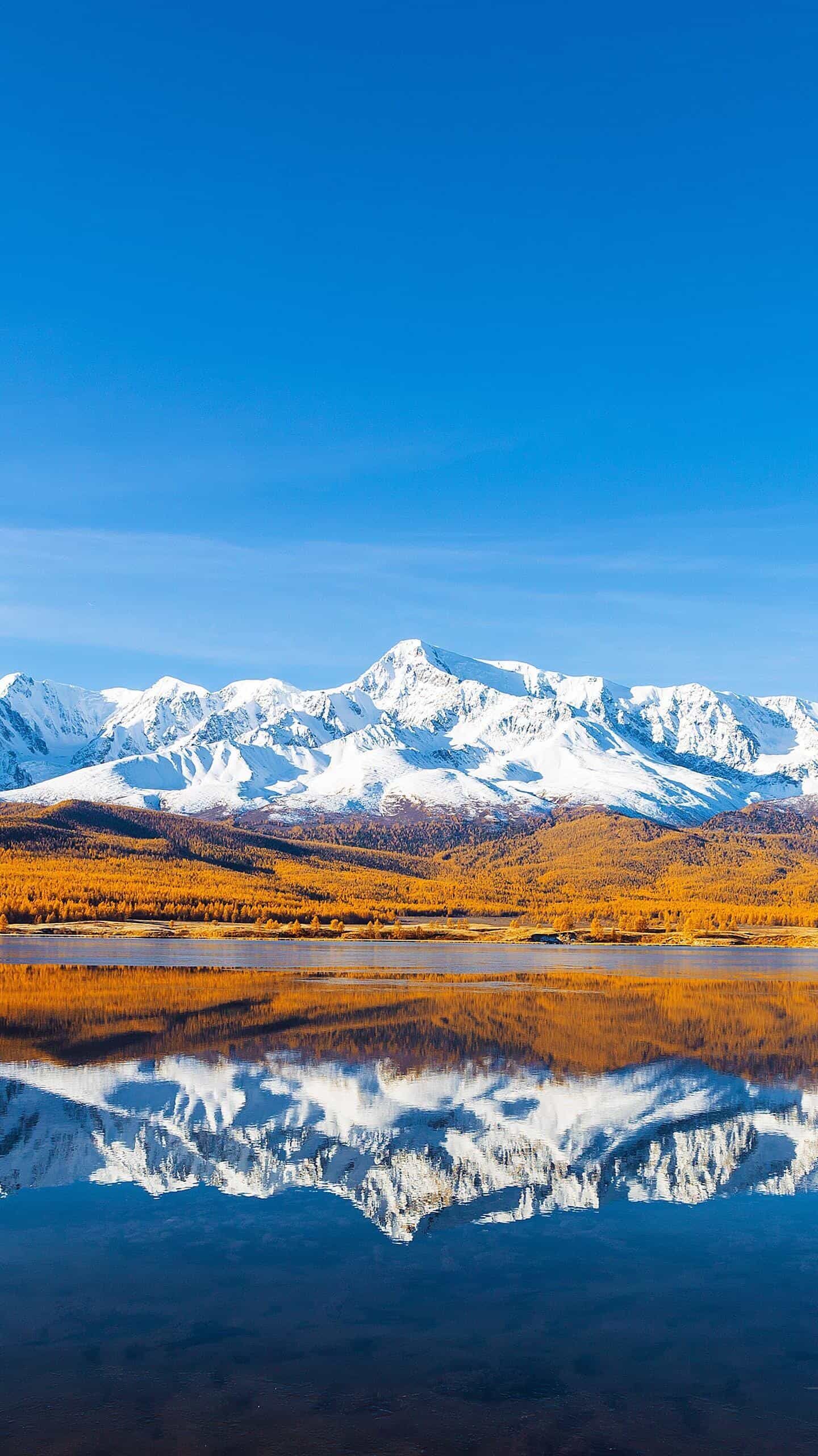 《存储革命:如何让服务器容量翻倍,成本减半?》